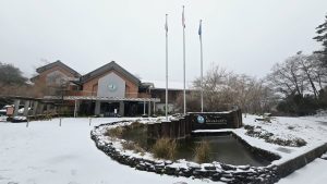 雪霸國家公園與合歡山一帶近期也有降雪景象，建議遊客根據自身需求選擇適合的景點。