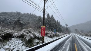 雪山登山口的冰霰與雪花，更是此次寒流帶來的意外驚喜。