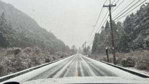 遊客在欣賞迷人景致時，應注意保護環境，避免踩踏植被，保持景區的整潔美觀。