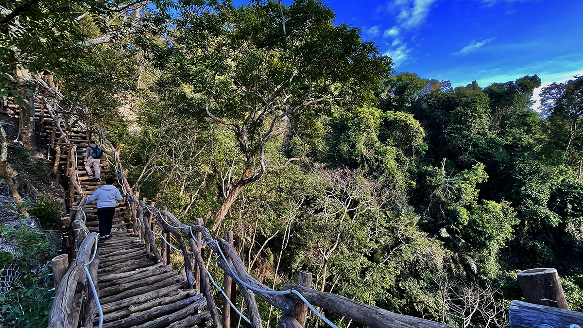 步道上可以欣賞森林的多樣色彩